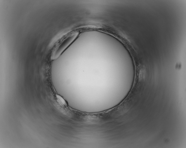 X0000114551448200911091145