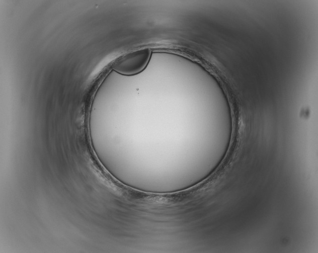 X0000114551450200911091145