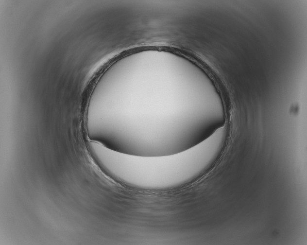 X0000114551452200911091145
