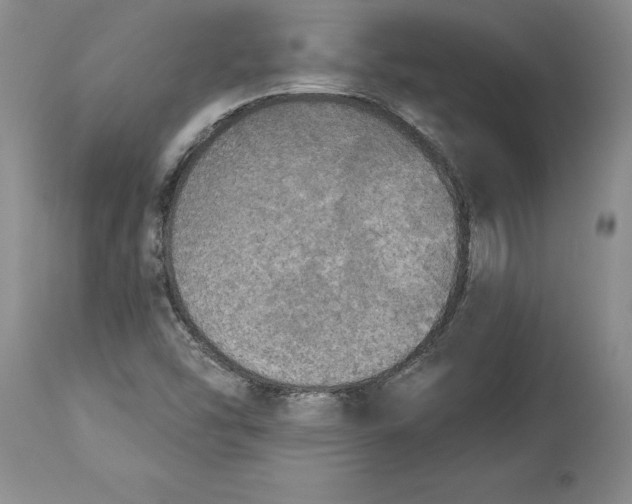 X0000114551454200911091145