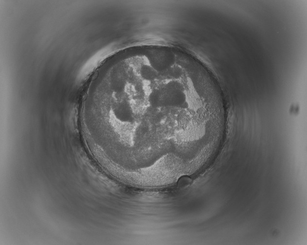 X0000114551455200911091145