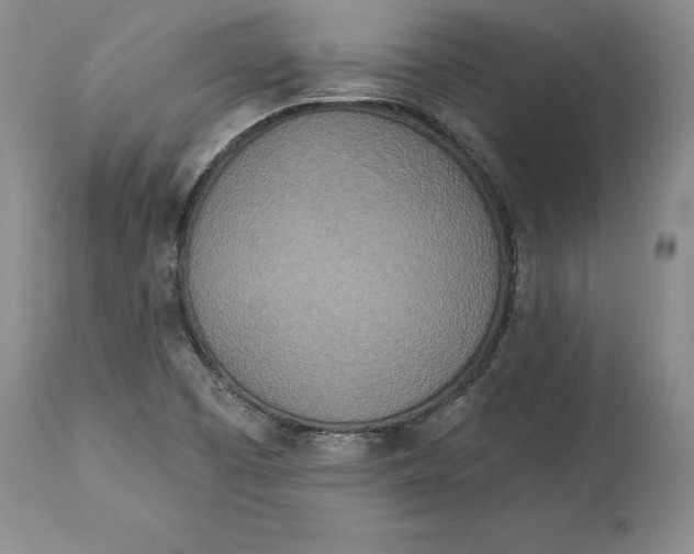 X0000114551457200911091145