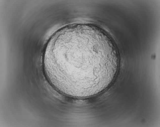 X0000114551459200911091145
