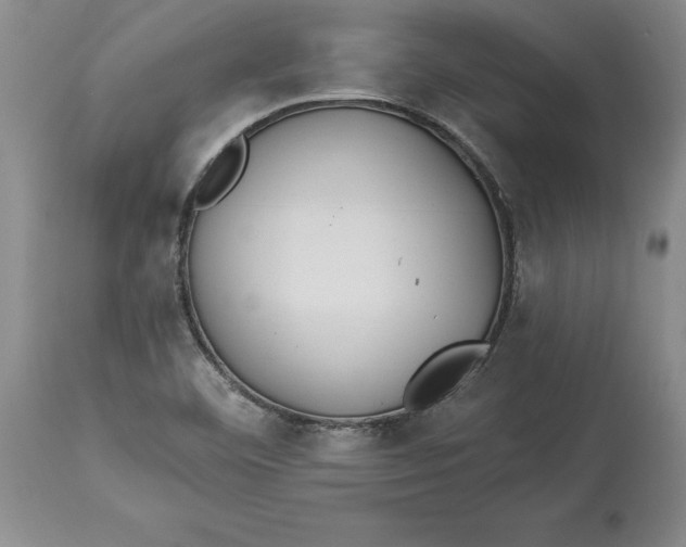 X0000114551460200911091145