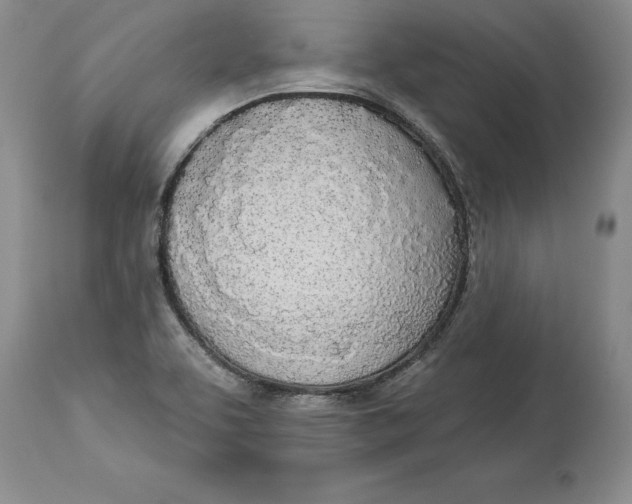 X0000114551463200911091145
