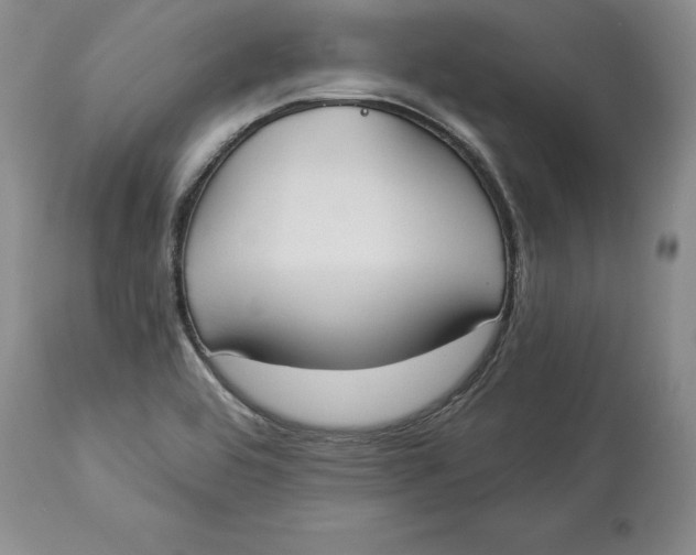 X0000114551464200911091145