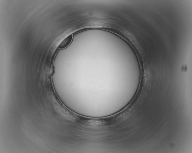 X0000114551465200911091144