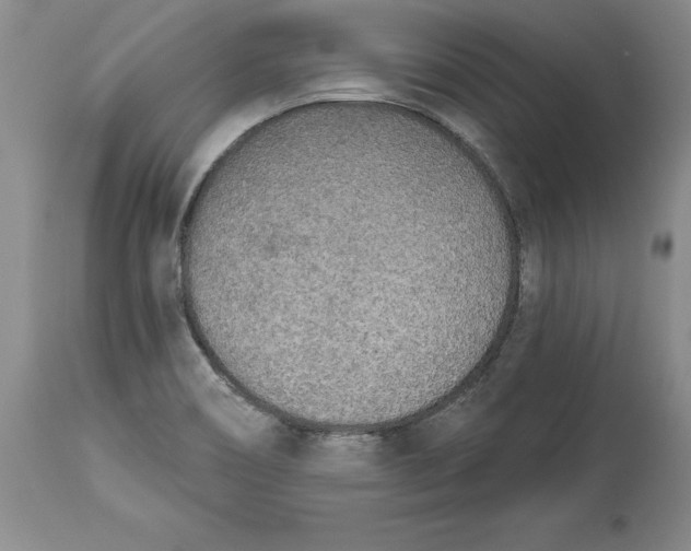 X0000114551466200911091144