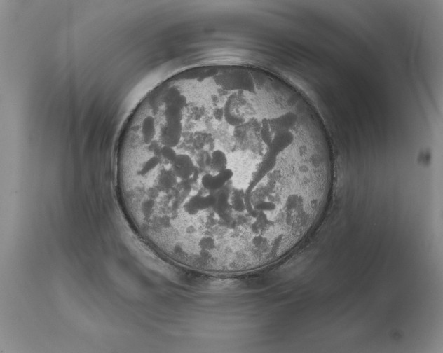 X0000114551467200911091144