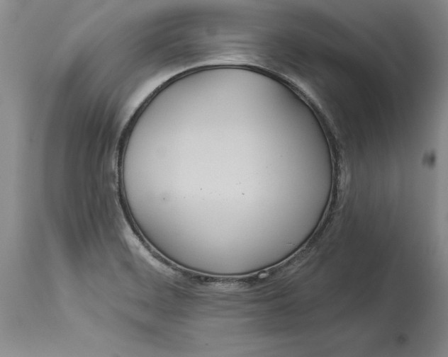 X0000114551468200911091144