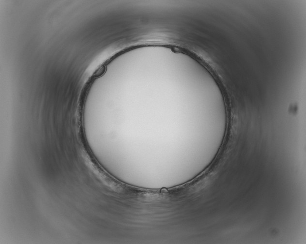 X0000114551469200911091144