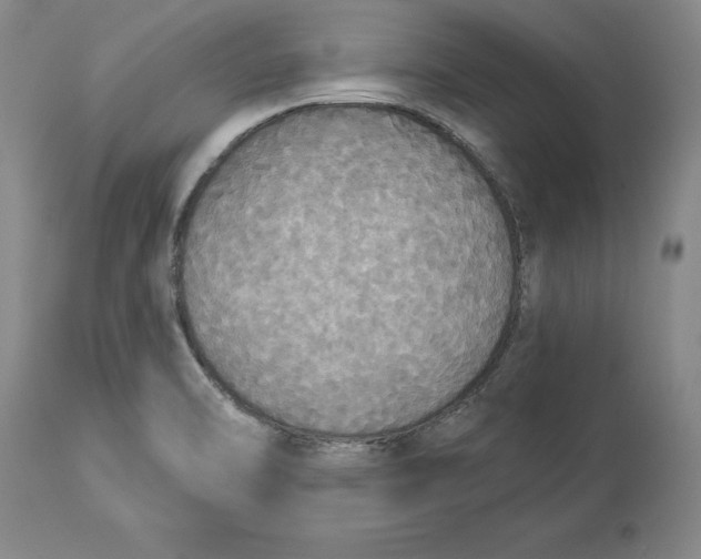 X0000114551470200911091144