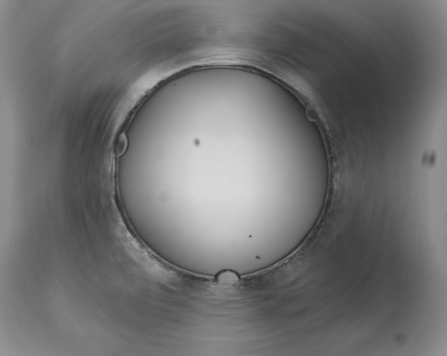 X0000114551472200911091144