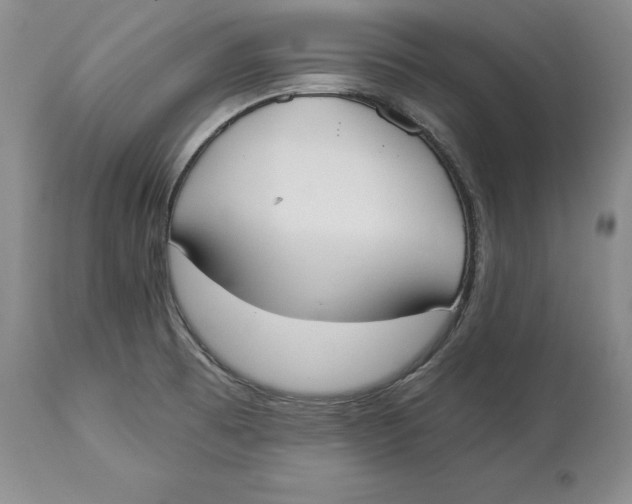 X0000114551473200911091144