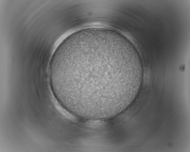 X0000114551474200911091144