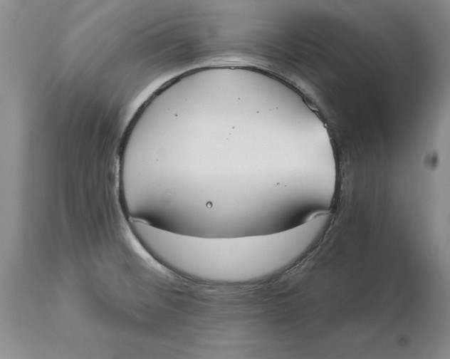 X0000114551476200911091144