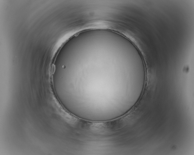 X0000114551477200911091144