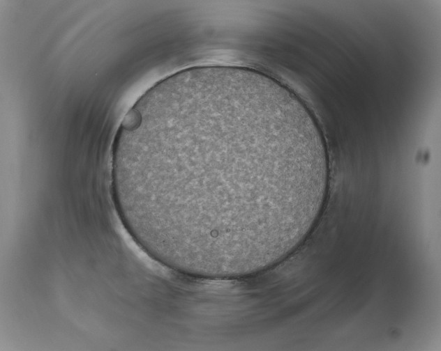 X0000114551479200911091144