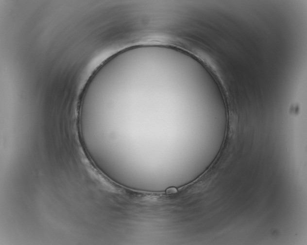 X0000114551480200911091144