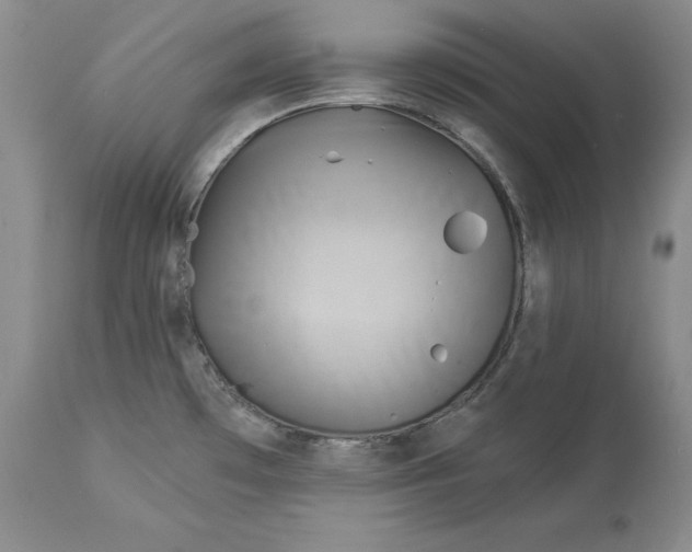 X0000114551481200911091144
