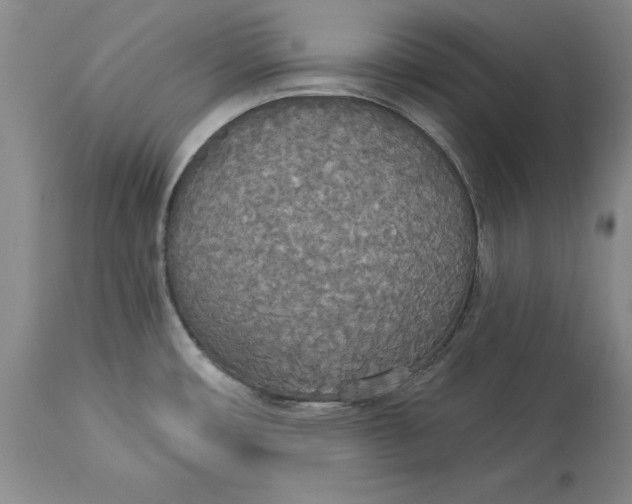 X0000114551482200911091144