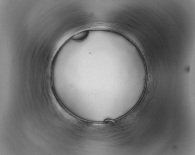 X0000114551483200911091144