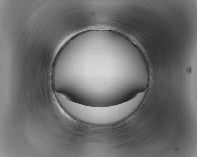 X0000114551484200911091144