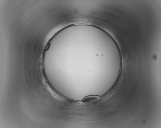 X0000114551485200911091144