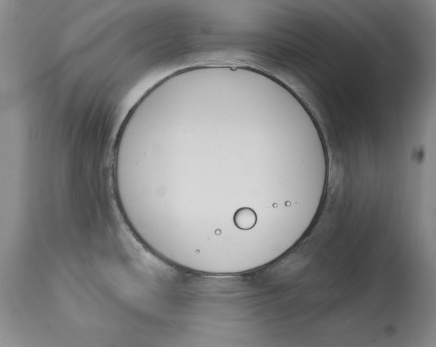 X0000114551486200911091144