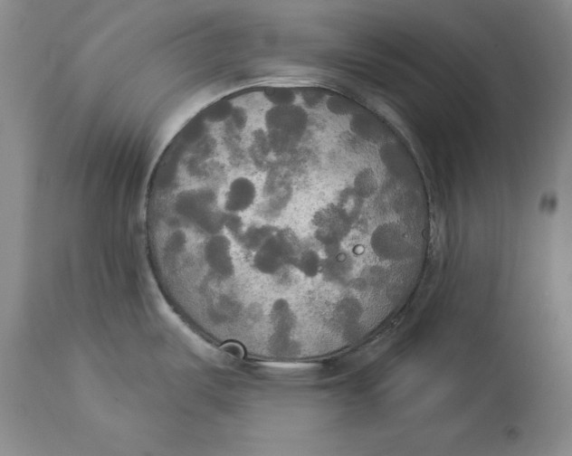 X0000114551487200911091144