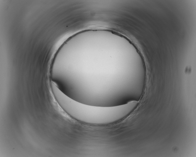 X0000114551488200911091144