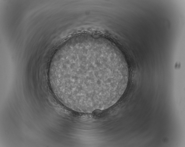 X0000114551489200911091143
