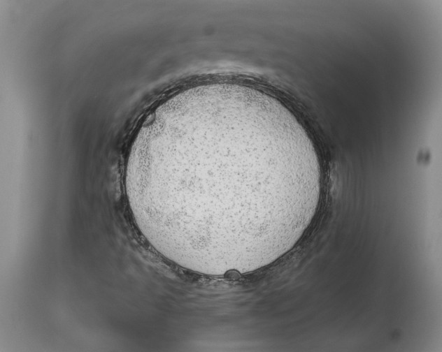 X0000114551493200911091143