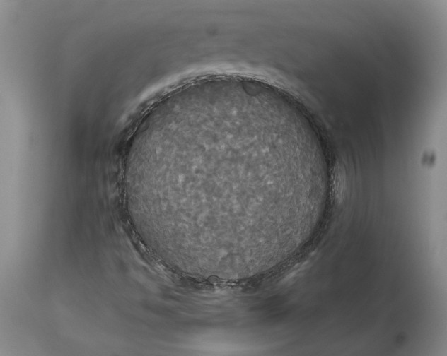 X0000114551494200911091143