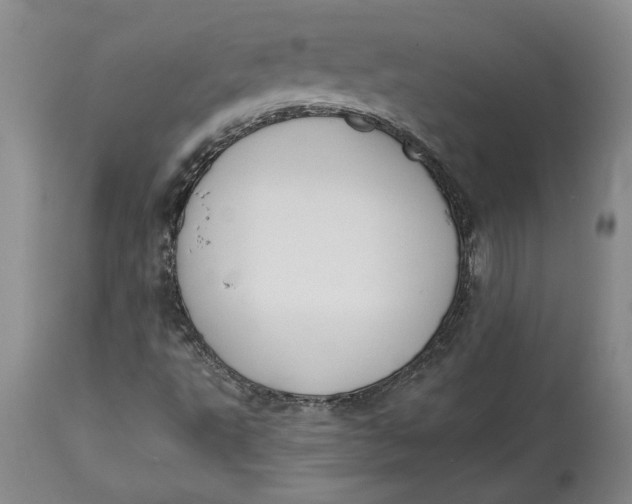X0000114551495200911091143