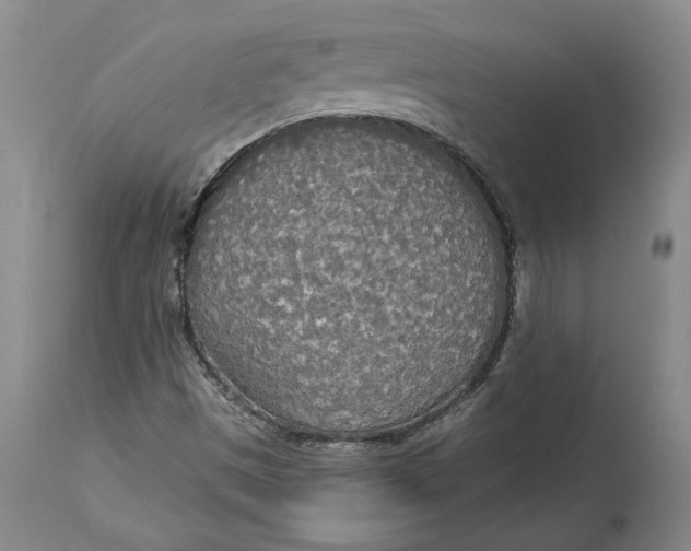 X0000114551497200911091144