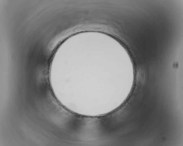 X0000114551498200911091144