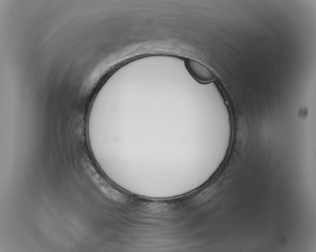 X0000114551499200911091144