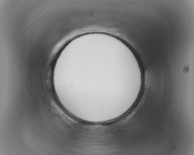 X0000114551502200911091144
