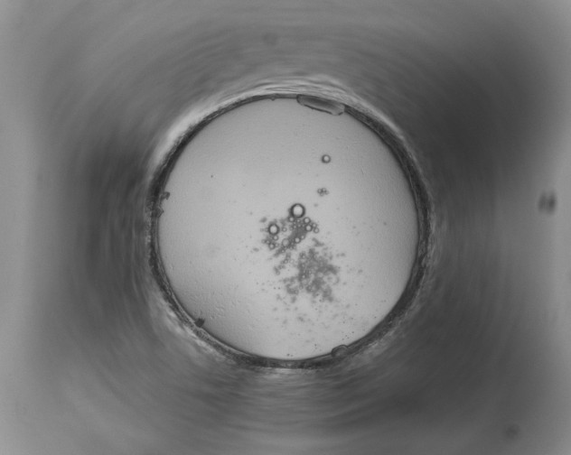 X0000114551506200911091144