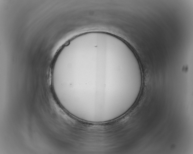 X0000114551510200911091144