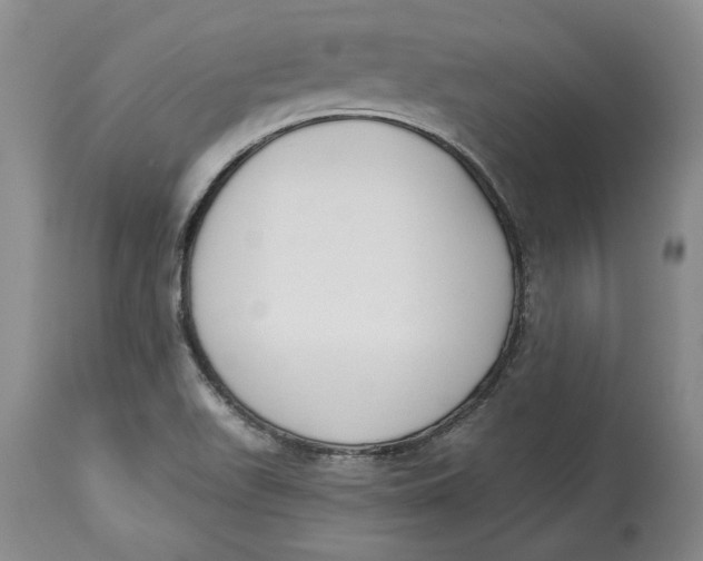 X0000114551511200911091144