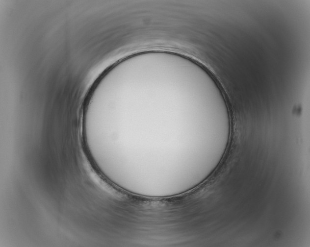 X0000114551515200911091144