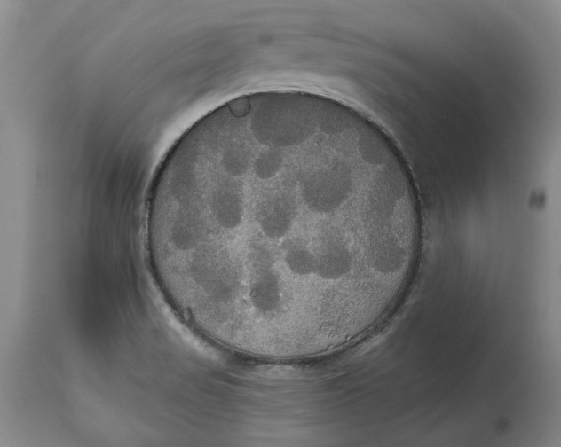 X0000114551517200911091144