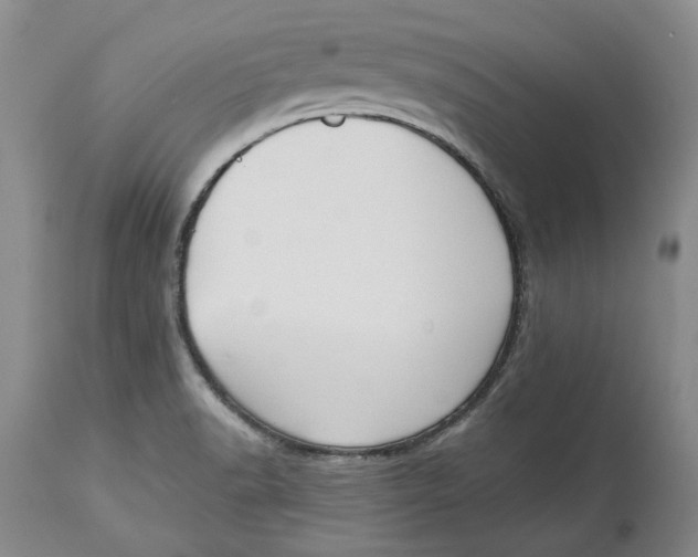 X0000114551518200911091144
