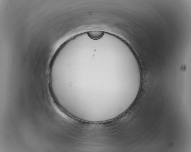 X0000114551519200911091144
