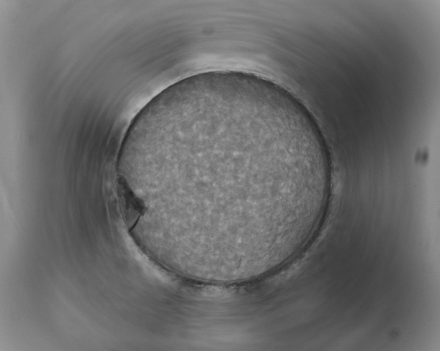 X0000114551521200911091144