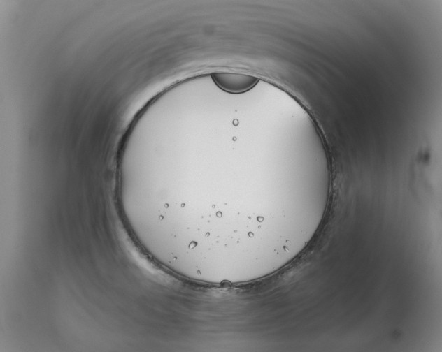 X0000114551523200911091144