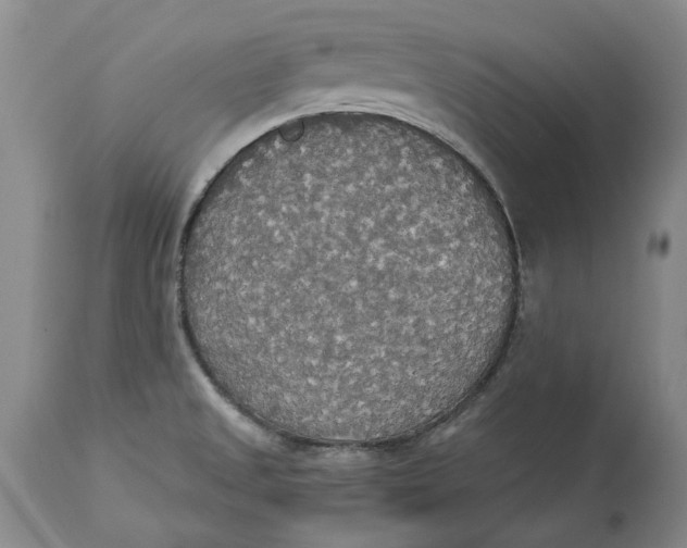 X0000114551525200911091144
