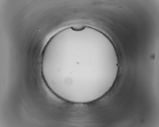 X0000114551526200911091144